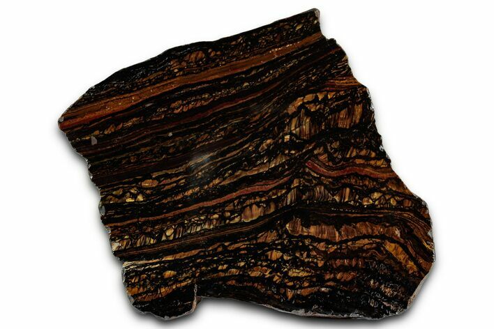 Polished Tiger Iron Stromatolite Slab - Billion Years #353242